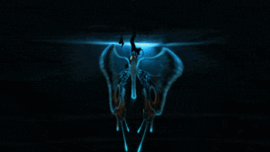 Earth Network butterfly