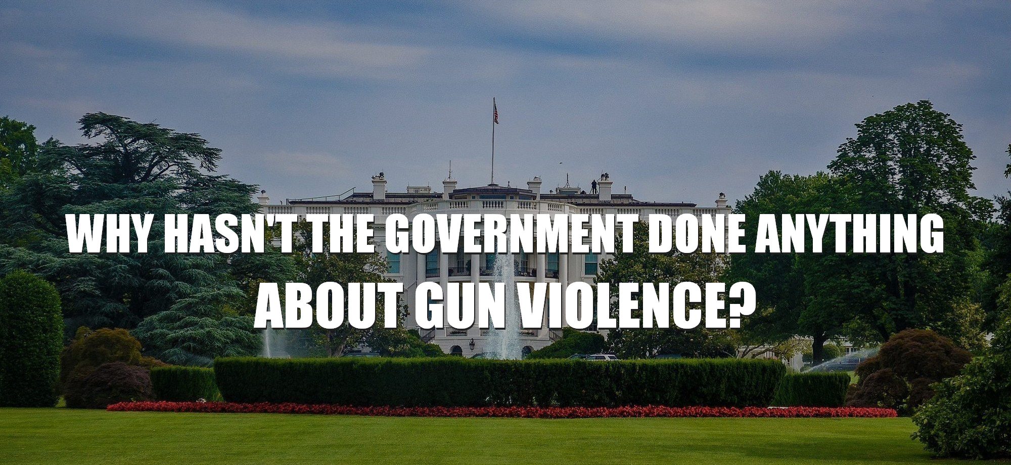Why hasn't the government done anything about school gun violence assault weapons?