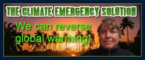 The climate emergency solution We can reverse global warming