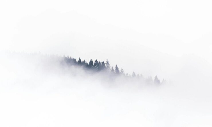 Shelter in a storm blizzard